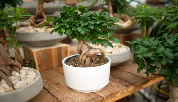 vastu tips in hindi,vastu defects,misfortune