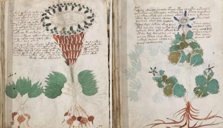 weird news,weird book,worlds most mysterious book,voynich manuscript,book language unable to decode
