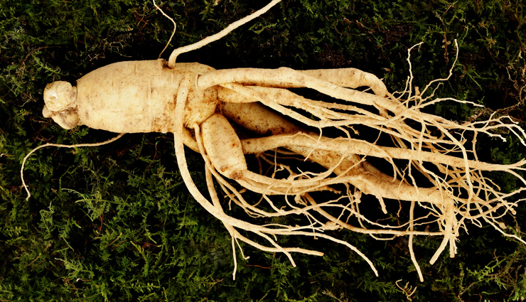 foods to boost libido,Health tips,fitness tips,women health tips