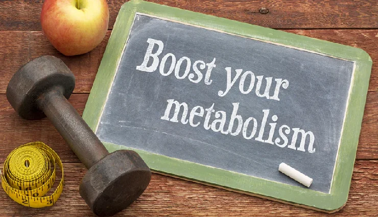 15 High Protein Foods That Help To Boost Metabolism