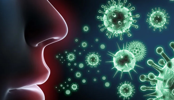 onion tea benefits,health benefits of onion tea,onion tea immune support,digestive benefits of onion tea,onion tea inflammation reduction,heart health and onion tea,onion tea antioxidants,onion tea nutrients,herbal onion tea,onion tea recipe,onion tea preparation,onion tea dosage,onion tea consumption,onion tea research,onion tea safety precautions