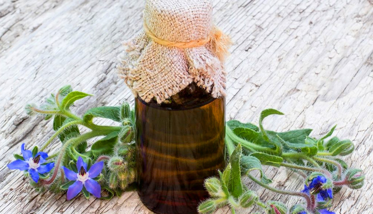 5 Health Benefits of Borage Oil