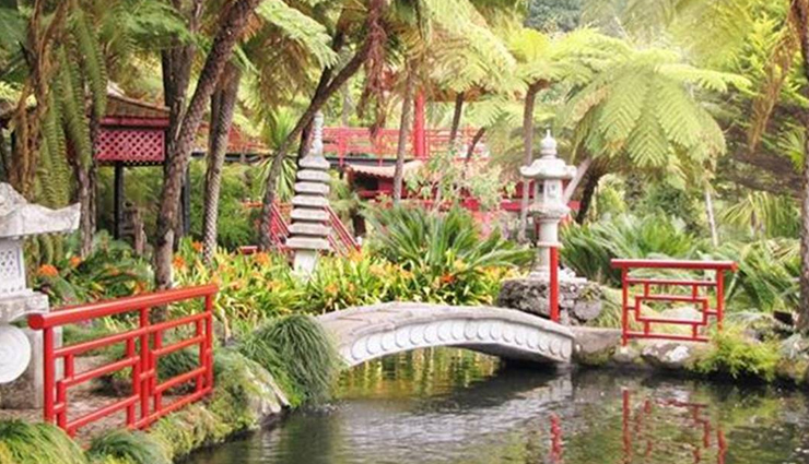 ooty,places to visit in ooty,attractions in ooty