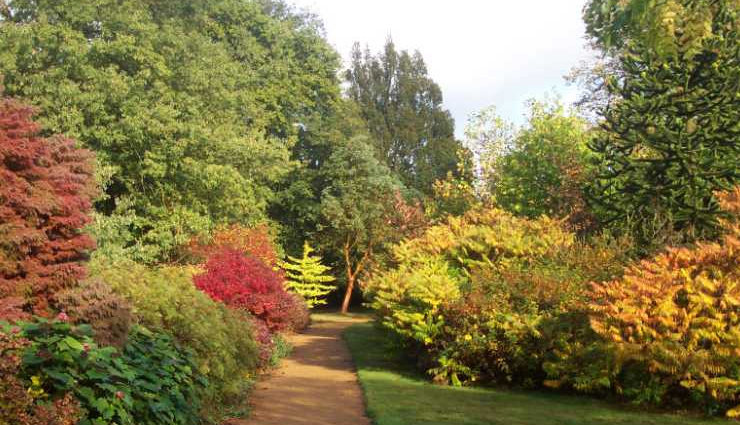 नोएडा: कंक्रीट के इस जंगल में भी है बहुत कुछ जिसे देखने के लिए खिंचे चले आते हैं पर्यटक dlf mall of india,noida shopping mall,retail therapy,entertainment hub,the great india place (tgip),noida,shopping and dining,family entertainment,okhla bird sanctuary,bird watching in noida,nature reserve,wildlife spot,worlds of wonder (wow),noida,amusement park,water park,akshardham temple,noida akshardham,spiritual site,hindu architecture,botanical garden,noida,nature park,green oasis,relaxing environment,noida golf course,golfing in noida,sports and recreation,rashtriya dalit prerna sthal,noida ambedkar park,cultural landmark,stupa 18 art gallery,noida,art hub,contemporary art exhibitions,atta market,noida,shopping market,local goods,street shopping