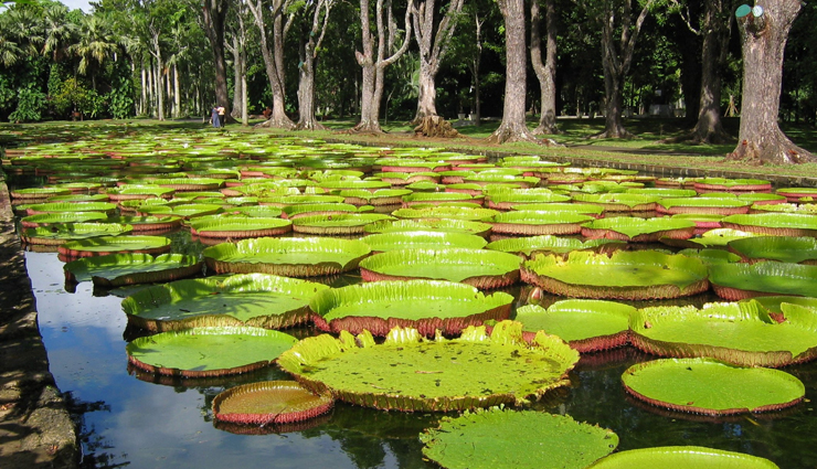 mauritius,best places to visit in mauritius,mauritius travel,travel guide,tourism,tourist places in mauritius,holidays