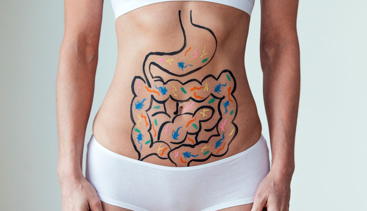 bottle gourd juice,health benefits of bottle gourd juice,Health tips,fitness tips