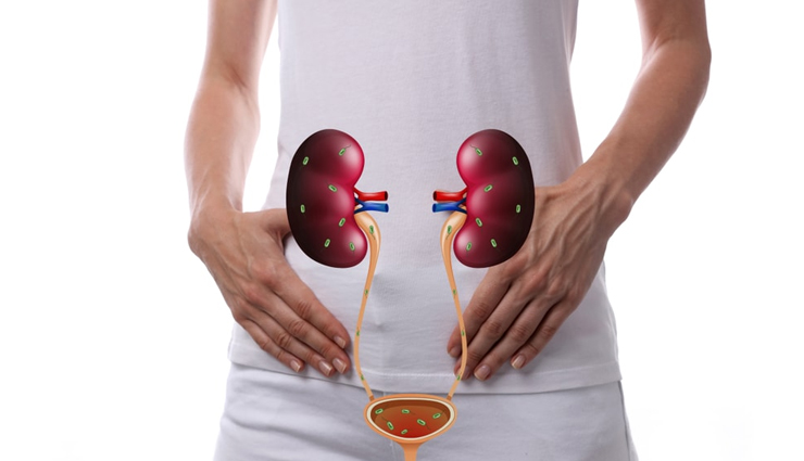 bottle gourd juice,health benefits of bottle gourd juice,Health tips,fitness tips