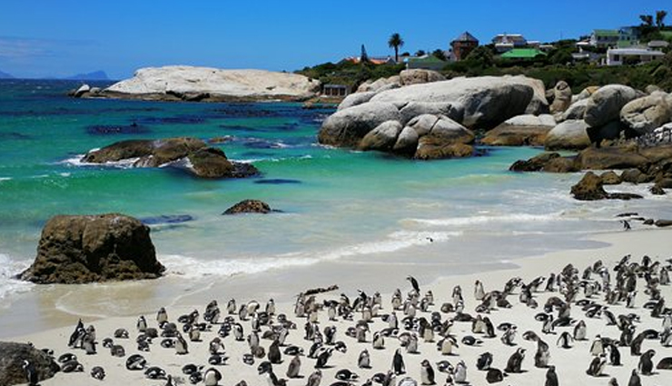 cape town,beaches in cape town,open
beaches in cape town near me,beaches in cape town with warm water,beaches in cape town with shells,private beaches in cape town,beaches in cape town south africa,beach in cape town area,beach near cape town airport,all beaches in cape town,beach accommodation in cape town,the best beaches in cape town,is there a beach in cape town,the best secret beaches in cape town,best beaches in cape town,best beaches in cape town south africa,boulders beach in cape town,beach bars in cape town,best swimming beaches in cape town,beach events in cape town,famous beaches in cape town,beach fishing in cape town,sunset beach cape town for sale,good beaches in cape town,great beaches in cape town,beach holidays in cape town,beach homes in cape town