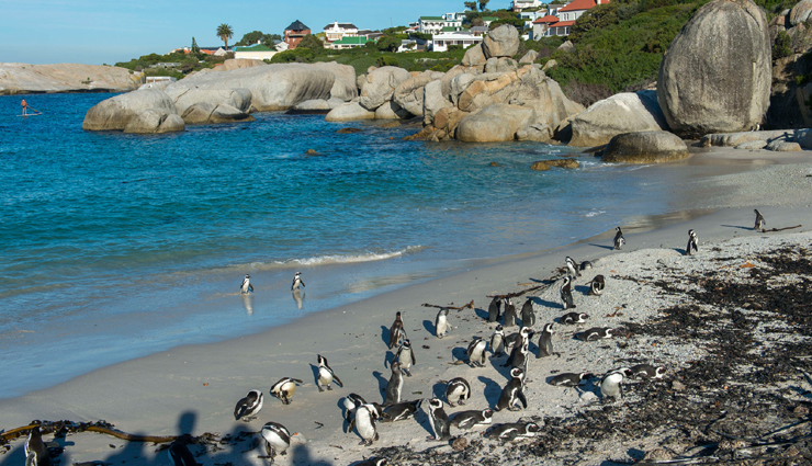 most instagrammed beaches,most instagrammed beaches in the world,travel,holidays,travel guide,travel tips,beaches to visit