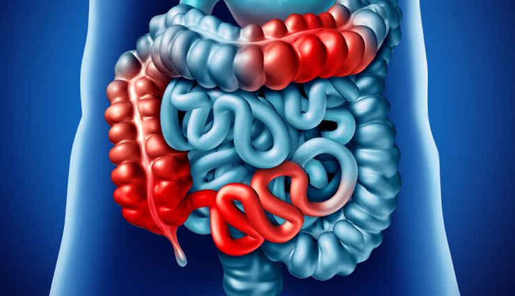 natural digestion improvement,ayurvedic digestion tips,digestive health meditation,exercise for better digestion,avoid overeating for digestion,herbal teas for digestion,ginger tea for digestion,hearty lunch for digestion,lunchtime digestion benefits,regular detoxification for digestion