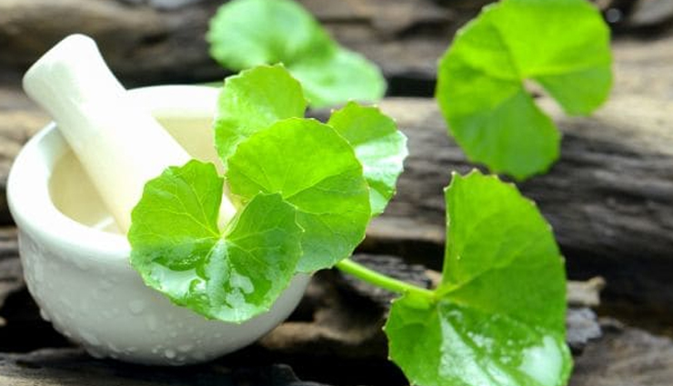 herbs and their benefits,some special herbs for health,healthy living,Health tips,herbs and its benefits