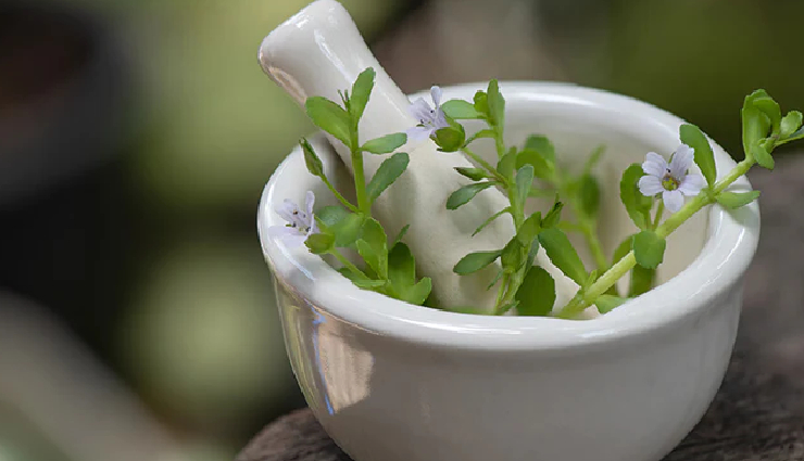 brahmi benefits,cognitive enhancer brahmi,natural stress relief brahmi,brahmi for mental health,ayurvedic brahmi benefits,brahmi for memory enhancement,bacopa monnieri advantages,brahmi neuroprotective effects,adaptogenic brahmi benefits,brahmi antioxidant properties,brahmi anti-aging effects,brain health with brahmi,enhance focus with brahmi,brahmi for mood disorders,brahmi supplements for brain health,holistic wellness with brahmi,brahmi for neurodegenerative diseases,brahmi natural cognitive support,brahmi traditional medicine,integrating brahmi into daily routine