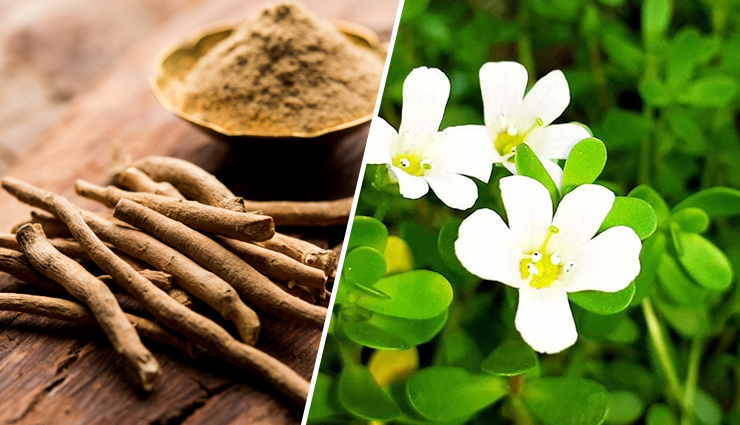 kadha recipes,immunity boosting kadha,monsoon season kadha,herbal kadha for immunity,ayurvedic kadha recipes,natural remedies for monsoon immunity,tulsi and ginger kadha,triphala kadha benefits,ashwagandha and brahmi kadha,amla and black pepper kadha,herbal potions for rainy season,traditional immunity boosters,indian monsoon wellness recipes,herbal concoctions for immune system,homemade kadha remedies