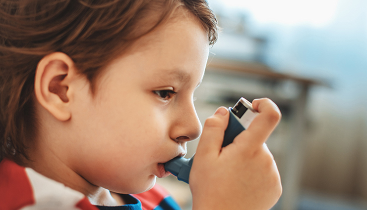 brahmi powder,health benefits of brahmi powder,Health tips,fitness tips