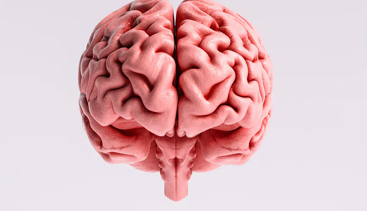 health benefits,health benefits of eating clean protein and healthy fats,protein,healthy fats,Health tips,healthy life