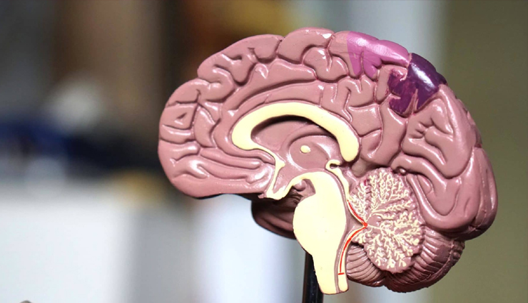 Almonds,almonds health benefits,healthy food almonds,almonds good for health,health tips almonds,almonds good for health,Health tips,healthy living