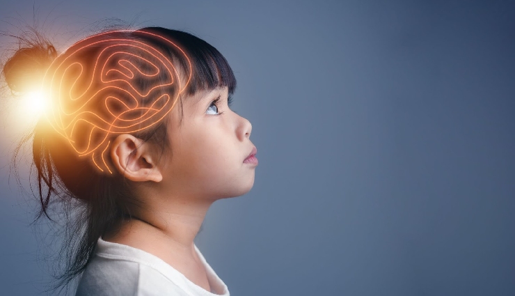 mulberries health benefits,nutritional value of mulberries,mulberries calories,dried mulberries nutrition,uses of mulberries,black red white mulberries,mulberries for weight loss,mulberries fiber content,mulberry tea jam juice,healthy snacks mulberries