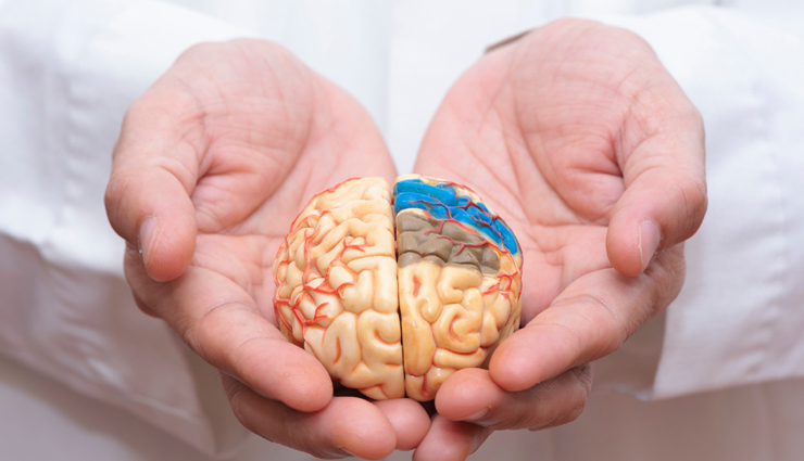 custard apple,health benefits of custard apple,healthy living,Health tips