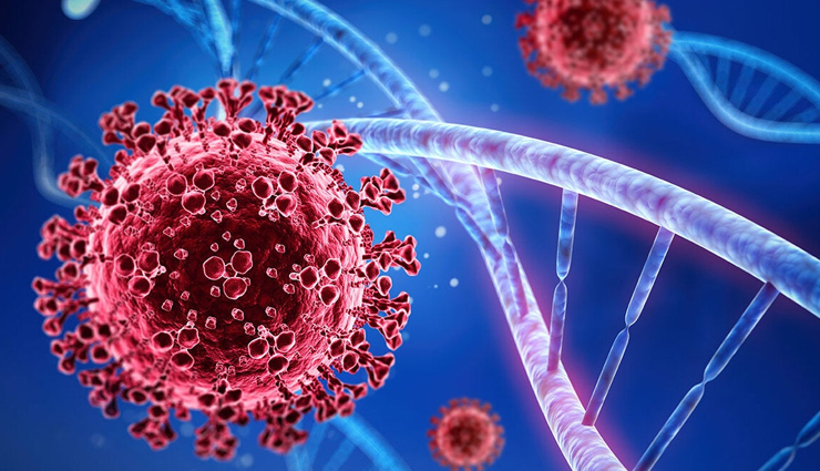 brain fog,major causes of brain fog,Health tips,fitness tips