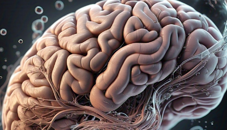 health benefits of leucine amino acid,leucine for muscle growth and recovery,how leucine helps in weight loss,leucine benefits for athletes and bodybuilders,leucine for blood sugar control and diabetes management