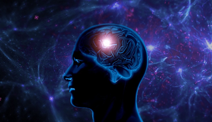 moringa health benefits,benefits of moringa leaves,moringa superfood,drumstick tree uses,moringa oleifera nutrition,moringa for immunity,moringa for skin and hair,ayurvedic benefits of moringa,moringa powder uses,miracle tree medicinal properties,moringa for digestion,natural detox with moringa,moringa antioxidants