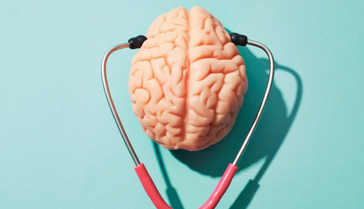 5 Essential Nutrients To Power Up Your Brain