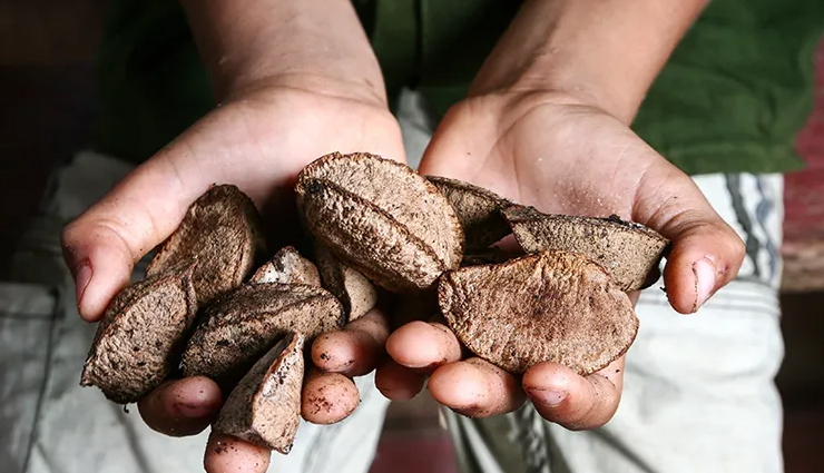 health benefits of brazil nuts,brazil nuts nutrition,brazil nuts for skin,brazil nuts for hair,brazil nuts for heart health,brazil nuts for brain health,brazil nuts for thyroid,selenium in brazil nuts,are brazil nuts good for you,brazil nuts benefits for immunity