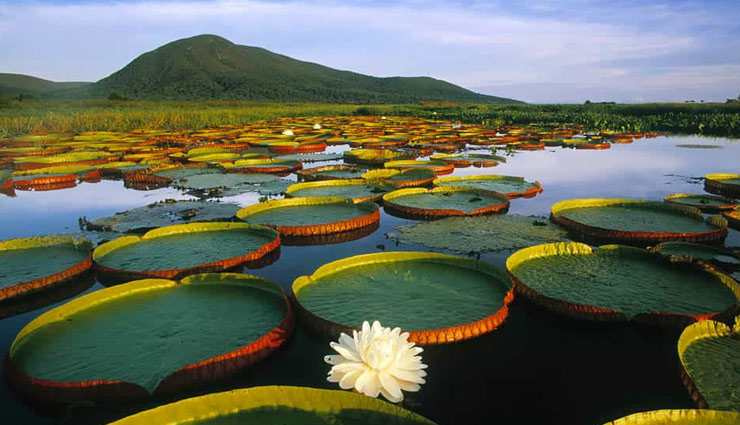 tourist destination,travel,holidays