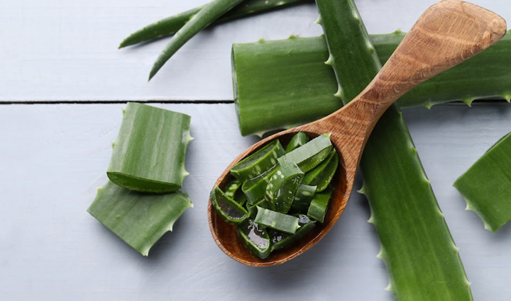 महिलाओं की खूबसूरती का अहम हिस्सा हैं उनके स्तन, इन घरेलू उपायों से लाएं इनमें कसावट breasts are an important part of womens beauty bring them tight with these home remedies,beauty tips,beauty hacks