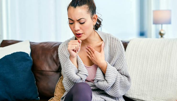 arjuna chaal benefits,arjuna bark health,terminalia arjuna uses,arjuna cardiovascular health,arjuna antioxidant properties,arjuna anti-inflammatory,arjuna chaal dosage,arjuna heart health,arjuna herbal medicine,arjuna chaal side effects