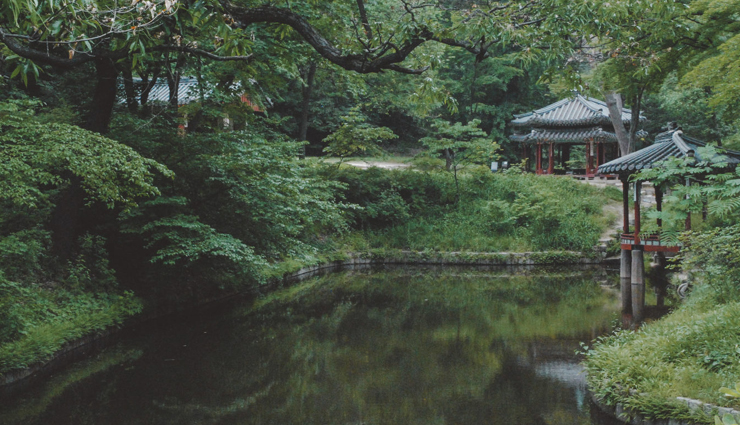 south korea,south korea tourism,tourist places in south korea,south korea travel guide,travel,holidays,travel guide