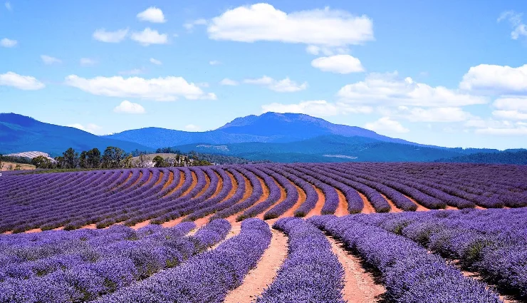 best travel destinations 2025,affordable luxury travel,budget-friendly vacations,top places to visit 2025,travel tips 2025,offbeat destinations 2025,value travel experiences,cheap luxury travel spots,exotic travel on a budget,affordable international trips 2025