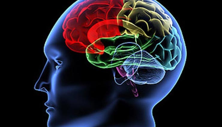 अपने बच्चों को देना चाहते हैं कंप्यूटर जैसा तेज दिमाग, आहार में शामिल करें ये चीजें