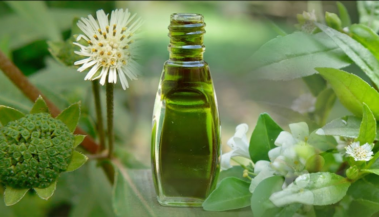 best oils for your hair,hair oil,best hair oil,best hair oil to purchase,oil massage for hair,hair care tips,coconut oil,brigandi hair oil,sweet almond hair oil,olive hair oil,grapeseed hair oil,sesame hair oil,beauty,beauty tips