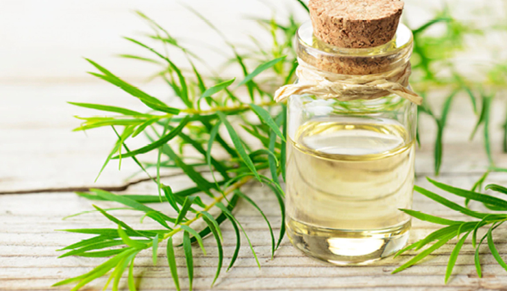 brittle nails,home remedies for brittle nails,nails care tips,beauty tips