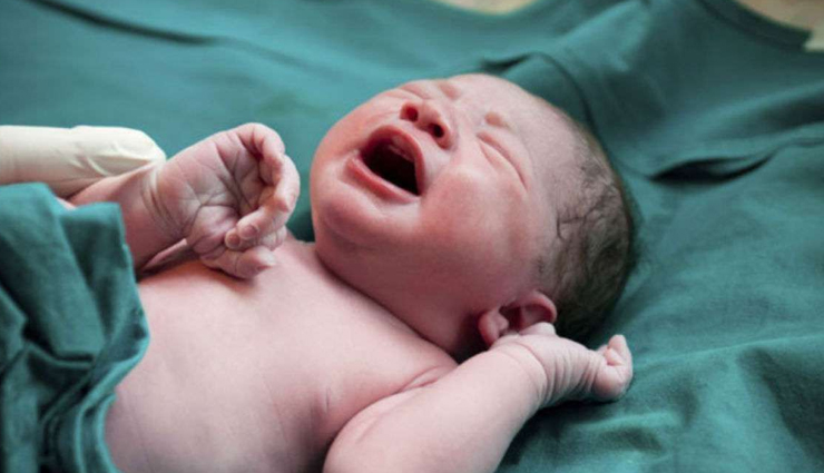 broad beans health benefits,benefits of eating broad beans,nutritional advantages of broad beans,broad beans for health,broad beans and well-being,health perks of broad beans,why eat broad beans,broad beans and nutrition,broad beans and health impact,exploring broad beans benefits