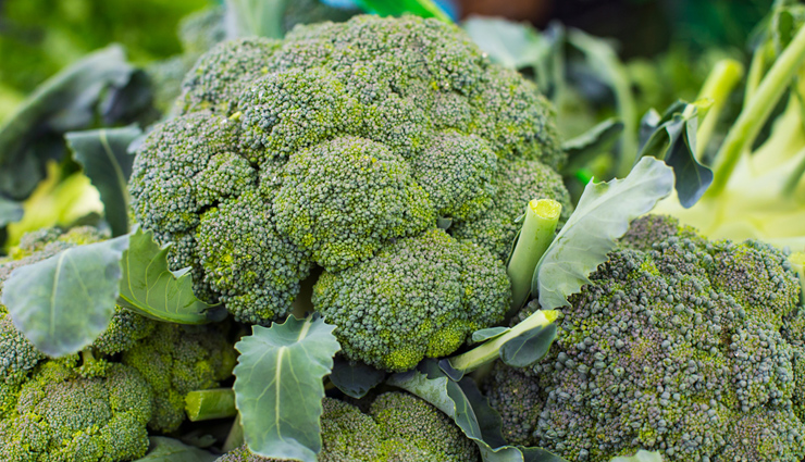 foods for wrinkle-free skin,anti-wrinkle foods for face,beauty tips for wrinkle removal,foods to reduce face wrinkles,wrinkle-free skin diet tips,natural remedies for wrinkle-free face,foods for youthful and smooth skin,anti-aging beauty tips for face,nutrient-rich foods for wrinkle removal,tips to get rid of face wrinkles,collagen-boosting foods for wrinkle reduction,diet for reducing facial wrinkles,natural beauty tips for smoother skin,foods for promoting skin elasticity,anti-wrinkle remedies from the kitchen,tips for a youthful and wrinkle-free face,nutritional tips for ageless skin,facial beauty tips for skin rejuvenation,foods that help eliminate face wrinkles,natural ways to achieve a wrinkle-free face