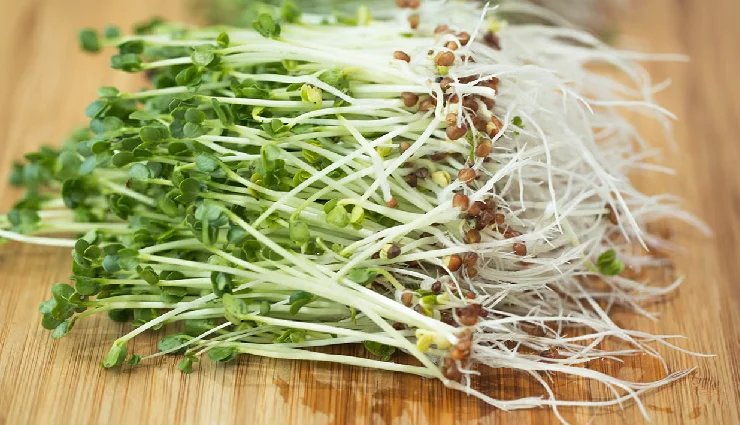 natural detox foods,detox diet,foods to detox body,healthy detox foods,detoxification foods,natural ways to cleanse body,antioxidant-rich foods,detox for digestion,reduce bloating naturally,cleanse and refresh body,foods for overall wellness,detox diet plan,natural remedies for detox,foods to fight fatigue,healthy lifestyle detox