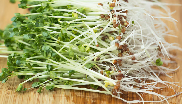 leafy greens benefits,health benefits of leafy vegetables,nutritional benefits of greens,leafy greens nutrition facts,leafy vegetables and wellness,benefits of eating leafy greens,leafy greens for a healthy diet,leafy greens for weight loss,leafy greens vitamins and minerals,green leafy vegetables benefits for skin,leafy greens antioxidants,leafy greens fiber content,benefits of leafy greens for digestion,leafy greens for immune health,leafy greens for eye health,leafy vegetables calcium benefits,leafy greens iron content,leafy greens vitamin k benefits,leafy greens anti-inflammatory properties,leafy greens heart health benefits,leafy greens for detoxification,leafy greens for bone health,leafy greens for brain health,leafy greens cancer-fighting properties,leafy greens for energy and vitality