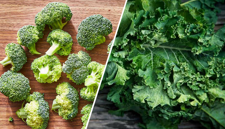 Which is Better to Consume- Broccoli or Kale?