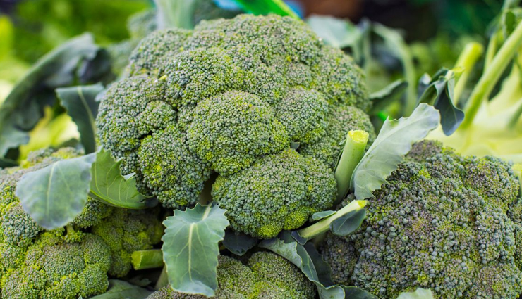 memory,foods to boost your memory,memory boosting food,healthy food,Health,Health tips