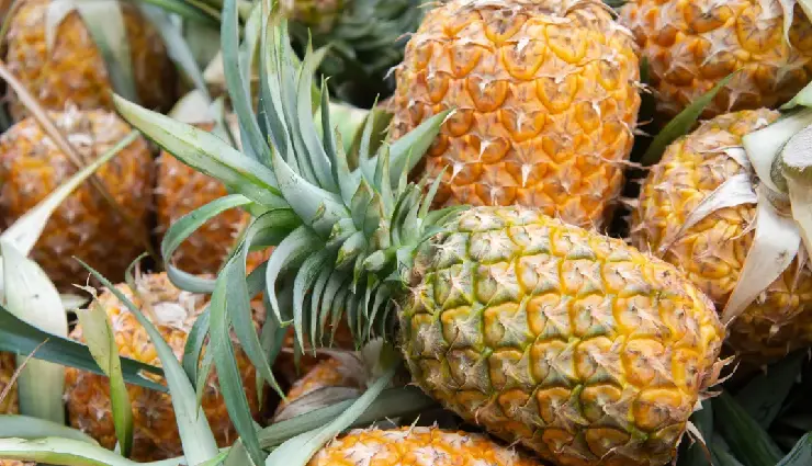 pelvic infection,pelvic inflammatory disease,pid in women,pid natural remedies,reproductive organ infection,sti-related pid,uterus infection,fallopian tube infection,pid symptoms relief,natural treatment for pid