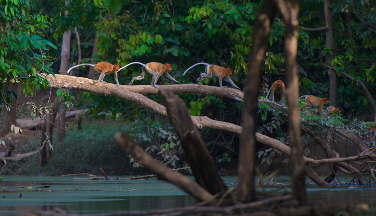 brunei,tourist attraction in brunei,places to visit in brunei,omar ali saifuddin mosque,sunset at empire hotel,jame asr hassanal bolkiah mosque,kampong ayer,mangrove forest tour