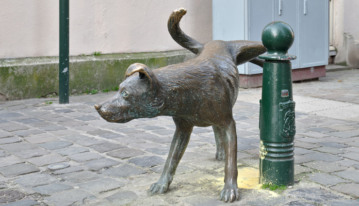 brussels,attractions in brussels,places to visit in brussels,manneken pis,jeanneke pis and zinneke,grand place,atomium,victor hortas major townhouses,villa empain