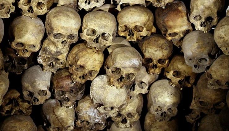 क्या कोरोना से भी खतरनाक हैं ब्यूबोनिक प्लेग, ले चुका हैं करोड़ों लोगों की जान 