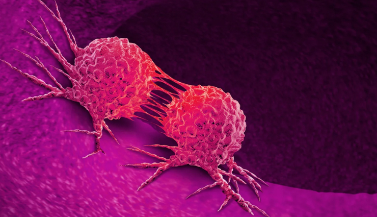 nutritional benefits of buckwheat flour,buckwheat flour uses in cooking,health advantages of lysine in buckwheat,buckwheat recipes and dishes,gluten-free flour options,buckwheat flour in indian cuisine,buckwheat flour for fasting recipes,cooking with kuttu ka atta,buckwheat flour and digestive health,buckwheat flour worldwide popularity