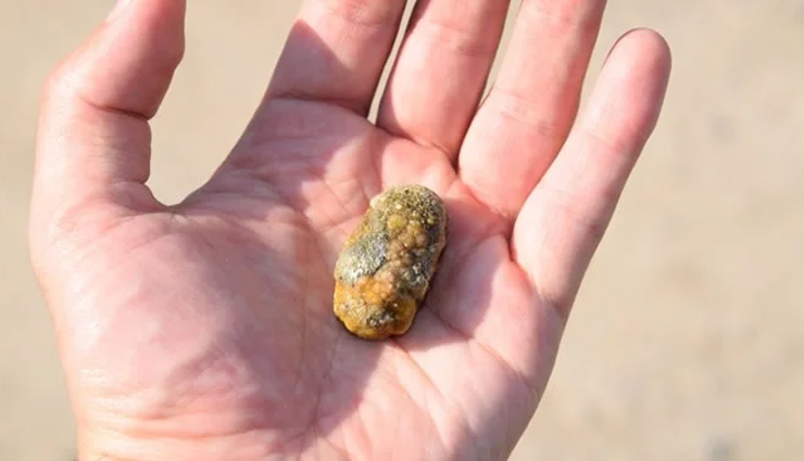 nutritional benefits of buckwheat flour,buckwheat flour uses in cooking,health advantages of lysine in buckwheat,buckwheat recipes and dishes,gluten-free flour options,buckwheat flour in indian cuisine,buckwheat flour for fasting recipes,cooking with kuttu ka atta,buckwheat flour and digestive health,buckwheat flour worldwide popularity