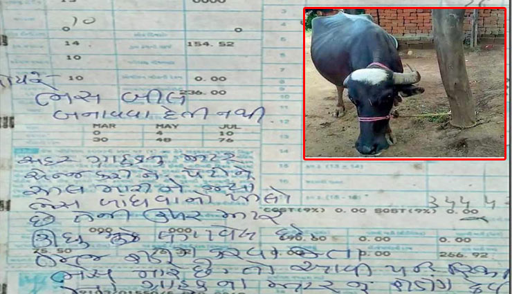 बिजली विभाग के लिए आफत बनी भैंस, कर्मचारी ने सोशल मीडिया पर रोया दुखड़ा