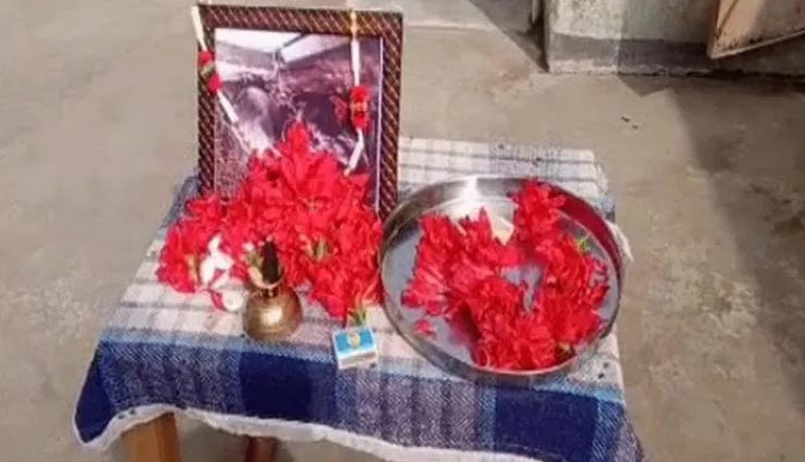 अनोखा मामला : भैंस की तेरहवीं पर दी गई पूरे गांव को दावत, सभी ने दी श्रद्धांजलि 