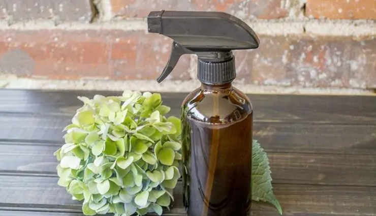 homemade bug repellent gel,Health tips,fitness tips